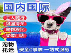 万州五桥空运代理国际宠物托运 【国